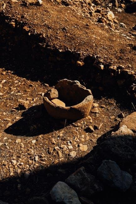 buried treasure excavation