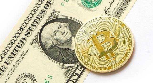 Bitcoin gold comparison