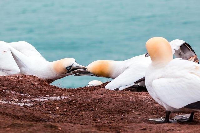 Homeowner awoken at 6 am to their entitled neighbor stressful that they shovel their shared portion of the driveway no subject the driveway being mostly cleared and no longer even their accountability: ‘He was enraged because it had snowed overnight’
