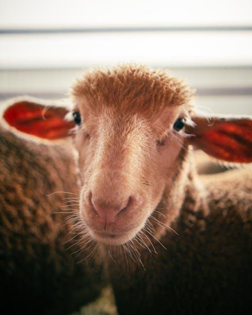 The Balloons That Went to Warfare: Britain’s Electrical Offensive Against Nazi Germany