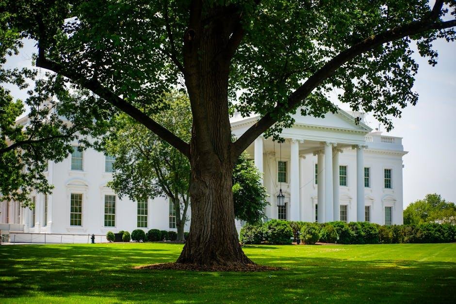 Trump Weighs Restricted Strikes In opposition to Iran After Peace Talks Cave in – WSJ