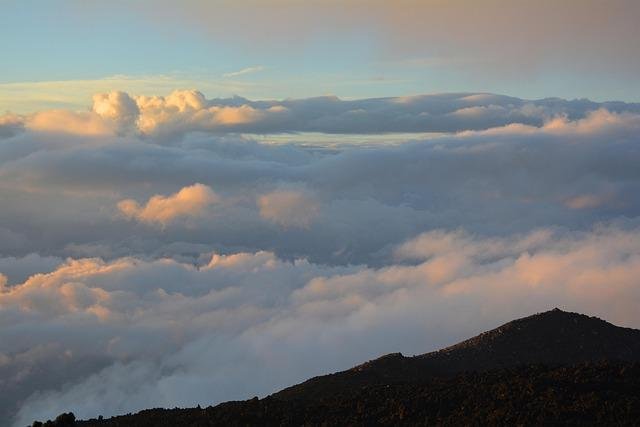 Edna Foa, Who Pioneered Exposure Remedy to Treat PTSD, Dies at 88 – The Unusual York Instances