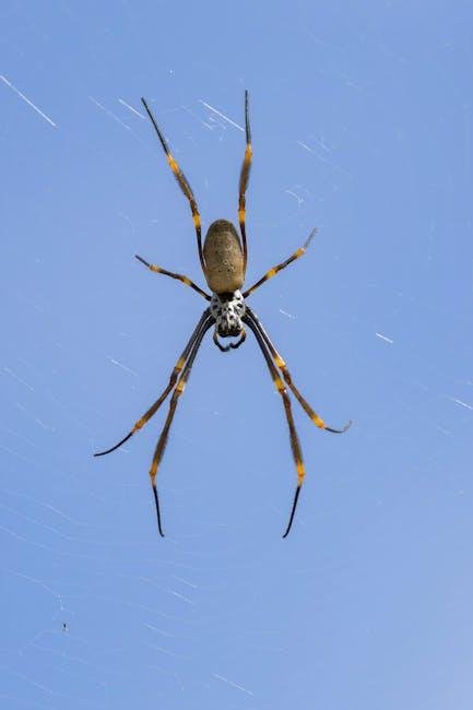 Spider-Man: Tag Unusual Day Debuts Two Unusual Posters At CinemaCon