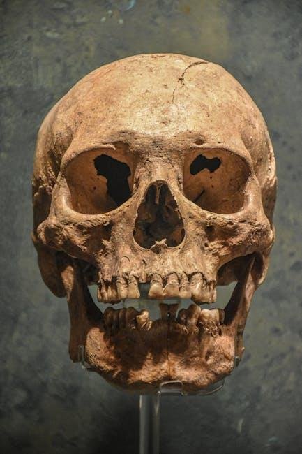 Allergies May maybe Devour Been Bequeathed by Neandertals