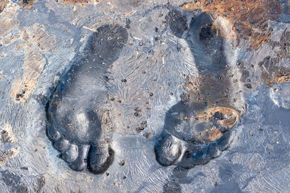 Delicate Ragged Footprints Reach to Gentle