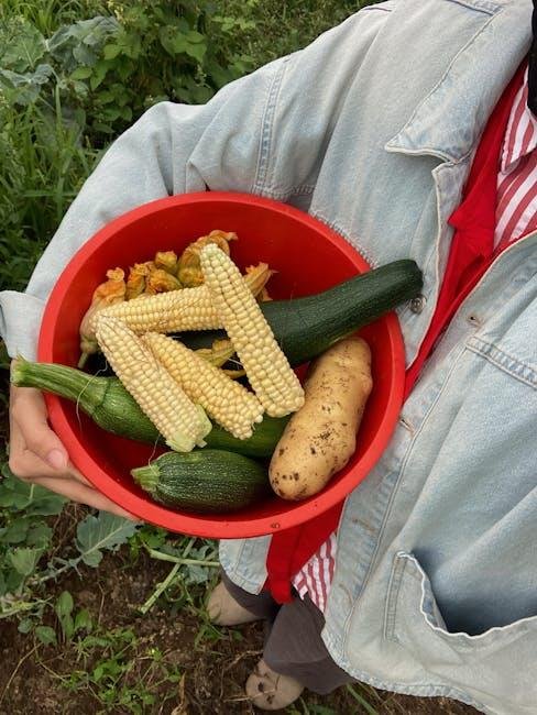 Right here’s the staunch technique to grow your delight in food with much less water, even in a drought