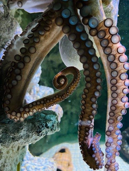 60-foot prehistoric octopus