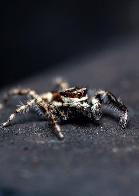 Spider-Noir Silvermane