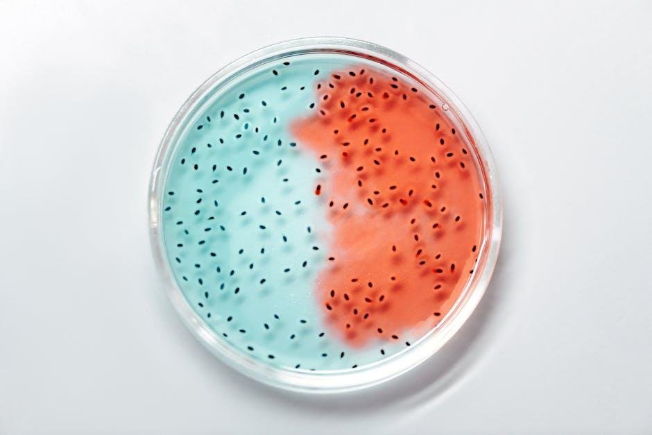 superbug bacteria
