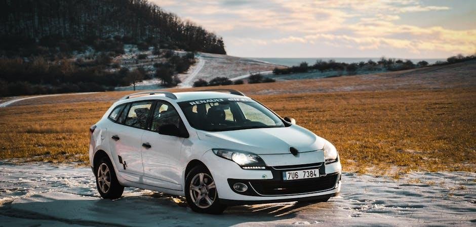 Klay Thompson Megan ‍Thee Stallion