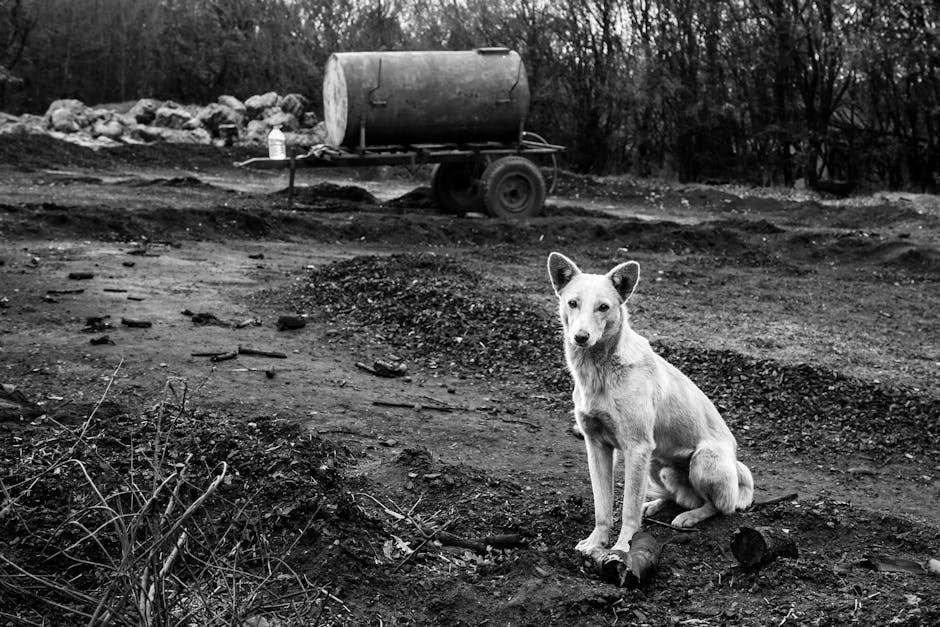 The dog ⁤stars movie trailer