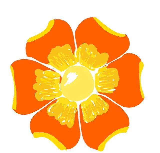 Drew allar Steelers quarterback