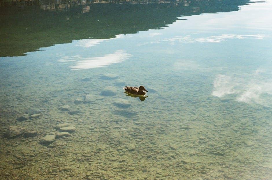 Crystal Lake television series