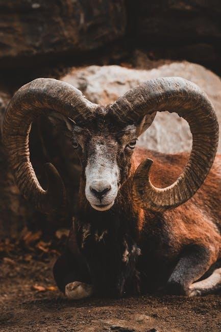 Ty‍ Simpson Rams draft