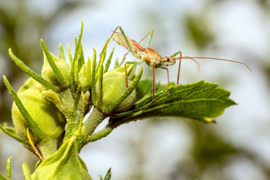 Assassin's Creed ⁣Black⁣ Flag‌ Resynced