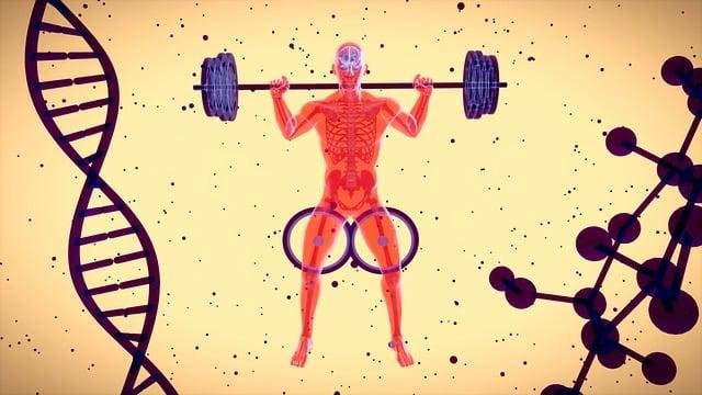 longevity ​expert health