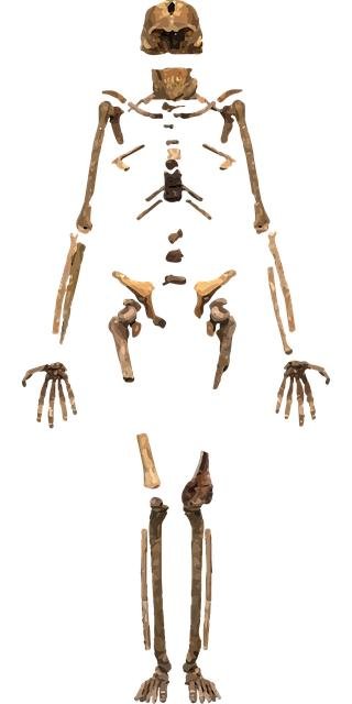 prehistoric cave exploration