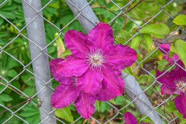 XRP price ⁣breakout