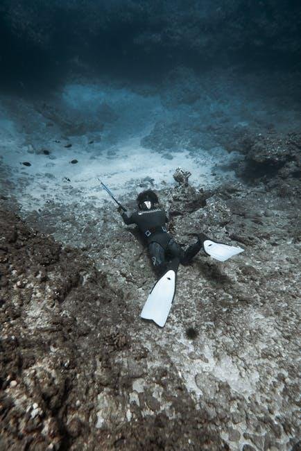 spearfisher shark attack Australia
