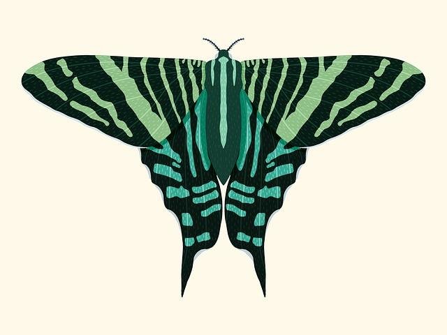Moths Fill an Acoustic Invisibility Veil to Handle beneath Bats’ Radar