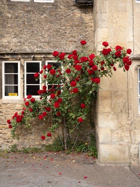 Half VI – The Legacy of the Wars of the Roses: Delusion, Reminiscence, and Popular Interpretation