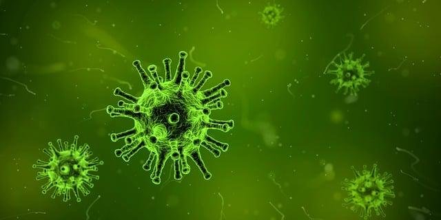 Ebola outbreak