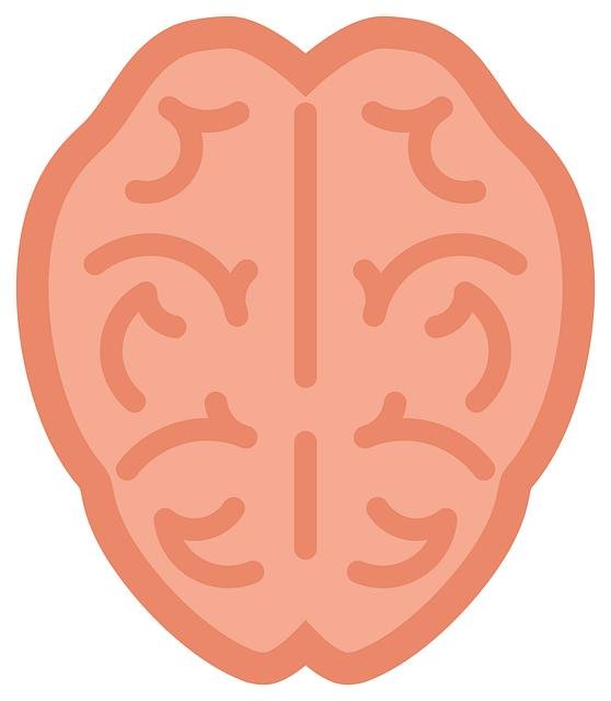 paper calendar and human brain