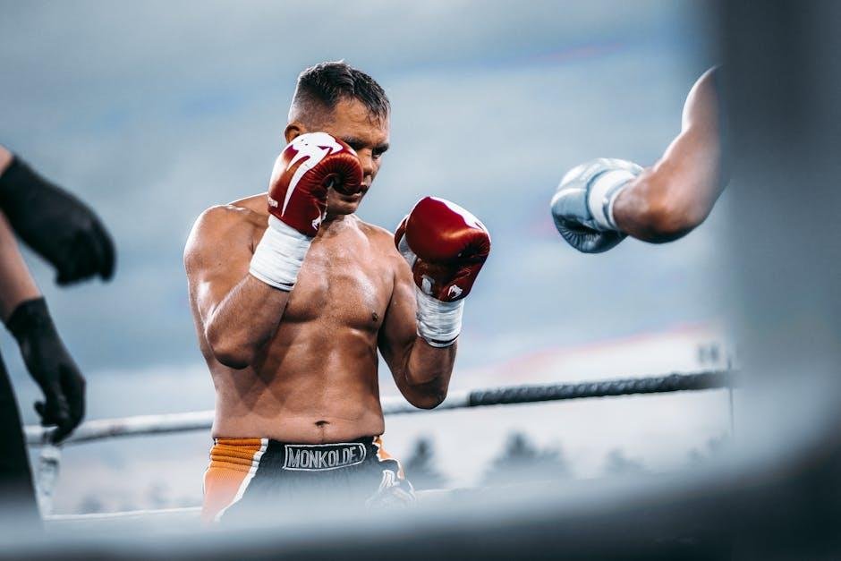 Oleksandr Usyk Rico Verhoeven boxing match