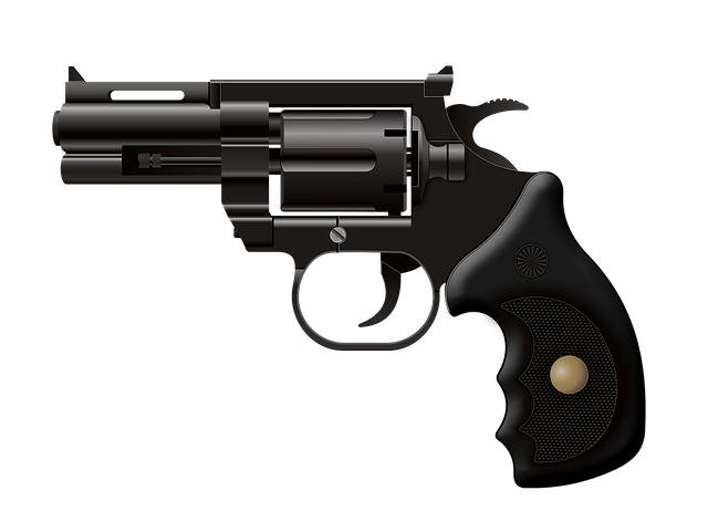 White House gunman